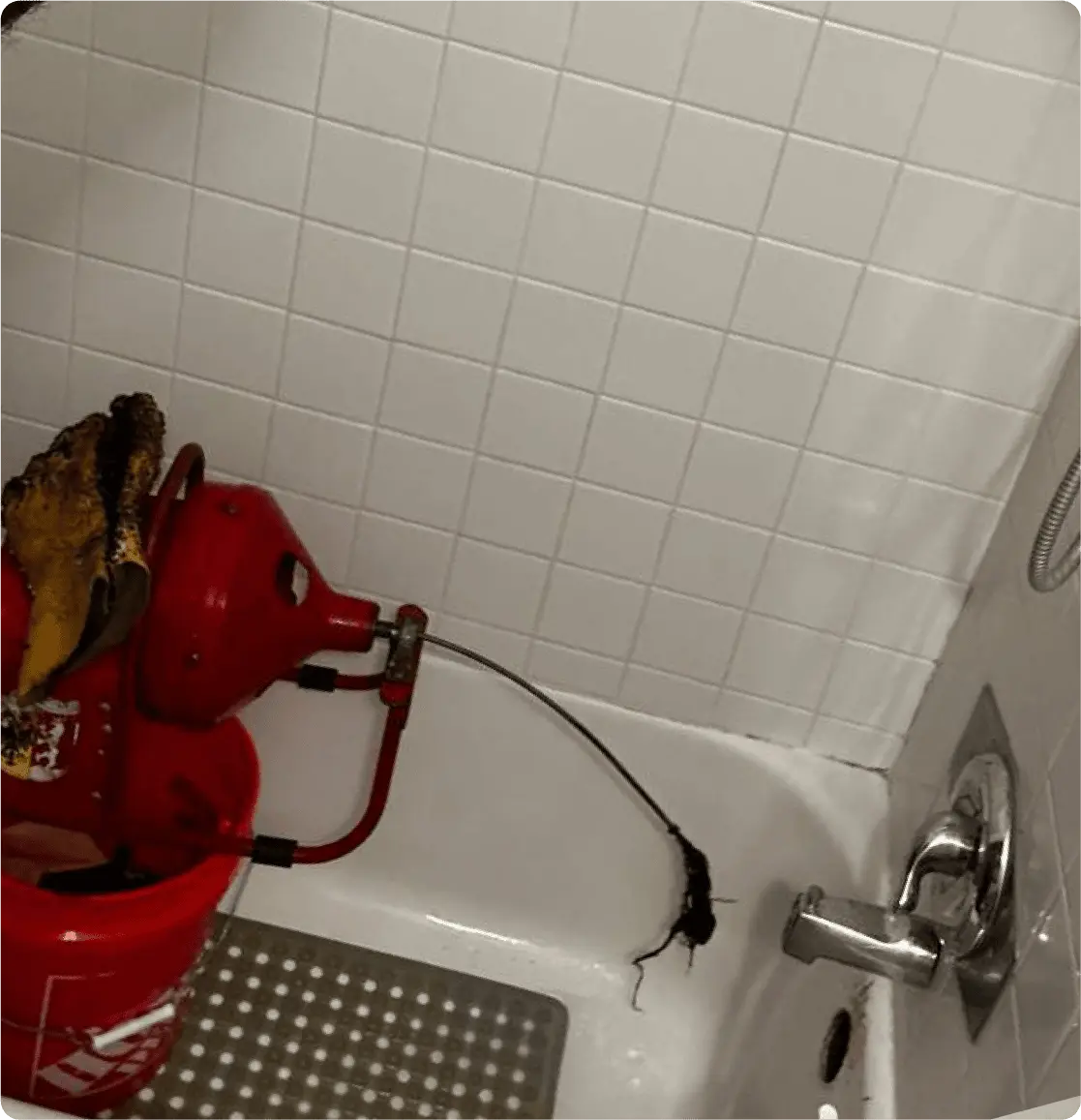 Licensed Andy's Plumbing team member providing plumbing services in Los Angeles