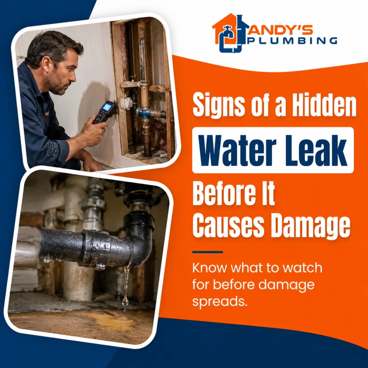 Andy's Plumbing leak detection support for hidden water leaks in Los Angeles homes